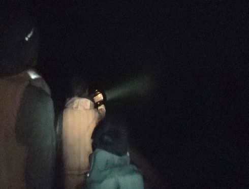 ウミスズメ調査の様子