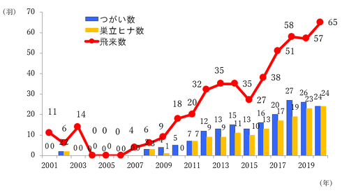赤岩対岸のウミガラスの繁殖巣棚における2001年から2020年までの飛来数、つがい数、巣立ち雛数の経年変化